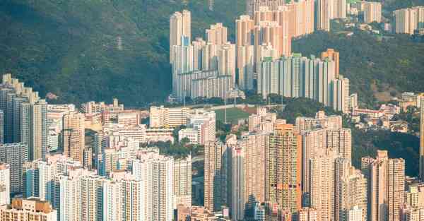 免费翻软件老王